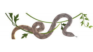robuart/Shutterstock.com