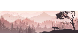 Annari/Shutterstock.com