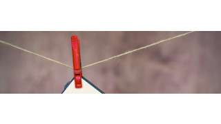 Artem Postoev/Shutterstock.com